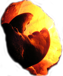 Maine glass art on display at the Farnsworth Art Museum in Rockland Maine